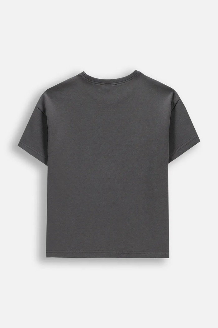 Coccodrillo t-shirt dziecięcy WC6143202HGJ szary SS26