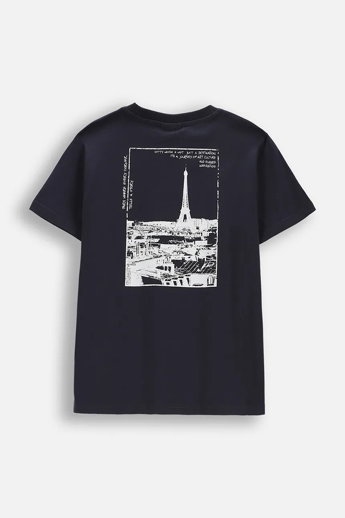 Coccodrillo t-shirt bawełniany dziecięcy WC6143222VBA szary SS26