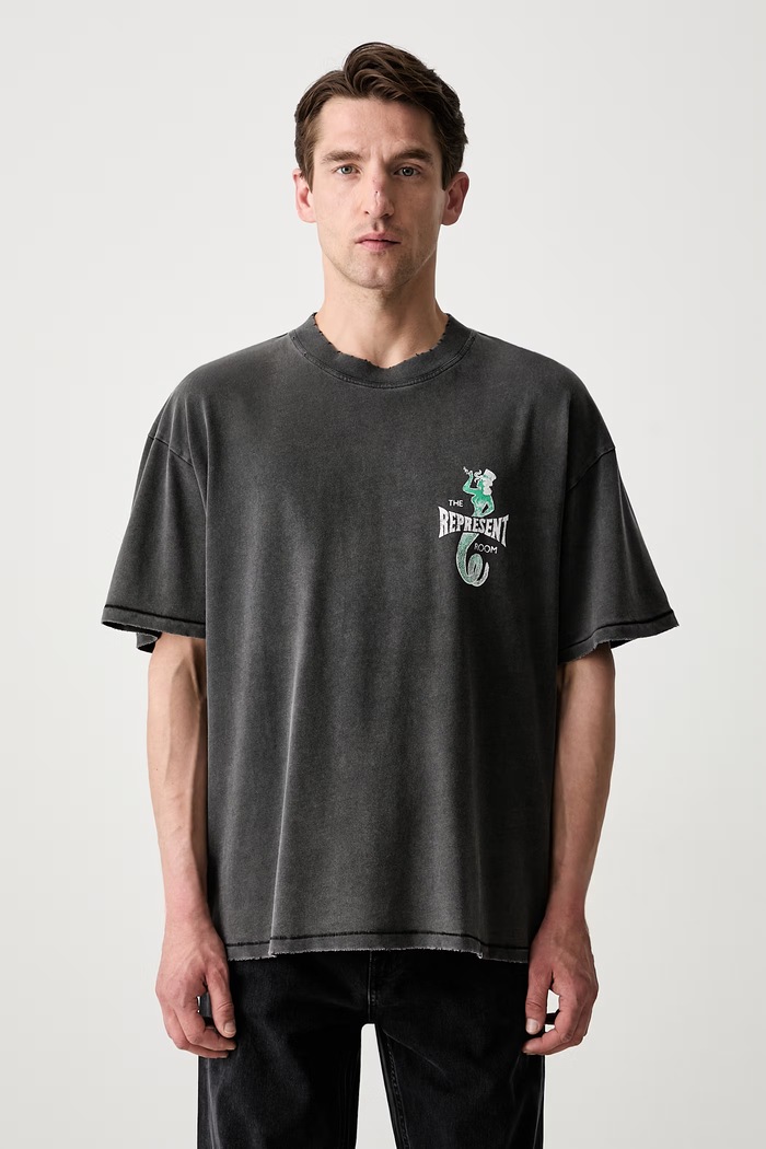 Odzież Represent THE VIPER ROOM DICE T-shirt bawełniany męski MLM100598.47 szary