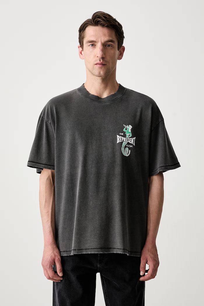 Odzież Represent THE VIPER ROOM DICE T-shirt bawełniany męski MLM100598.47 szary