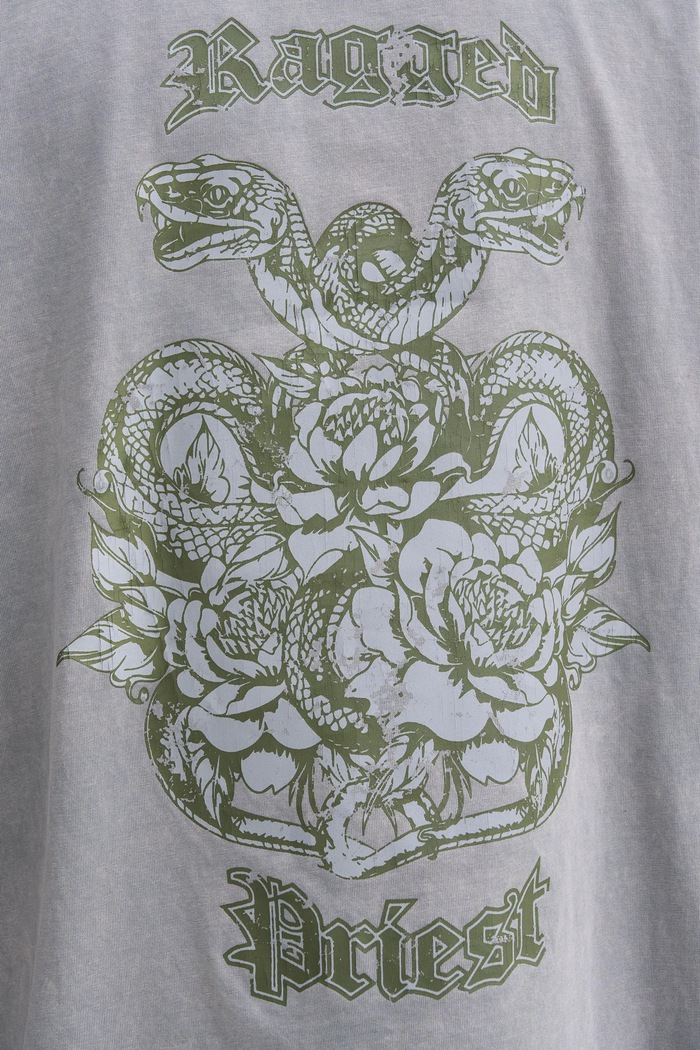 The Ragged Priest t-shirt bawełniany RPAW252010JS szary