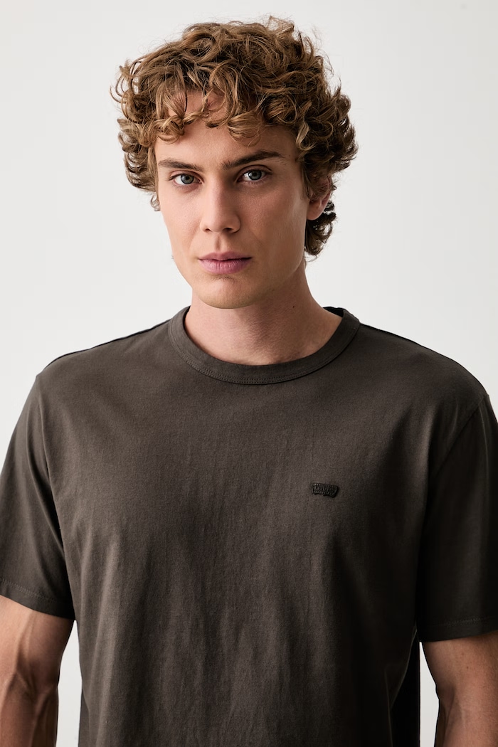 Levi's t-shirt da uomo in cotone LEVIS ORIGINAL TEE marrone 005GX