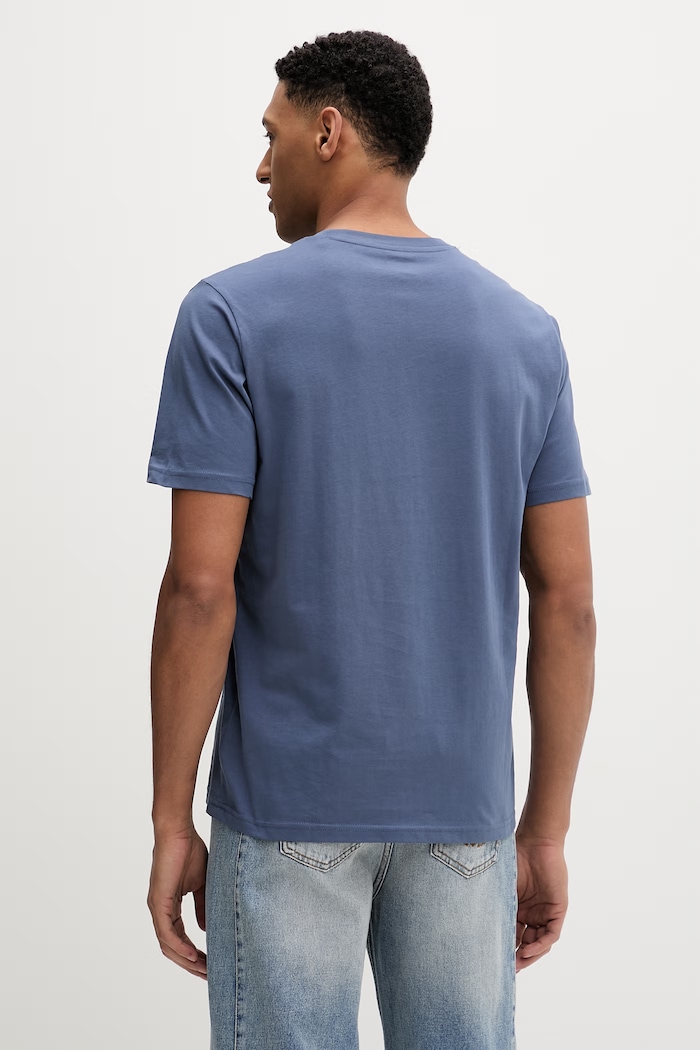 Oblečenie Bavlnené tričko Dickies DK0A4XDBRI21 modrá