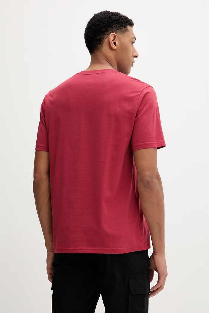 Oblečenie Bavlnené tričko Dickies DK0A4XDBL331 červená