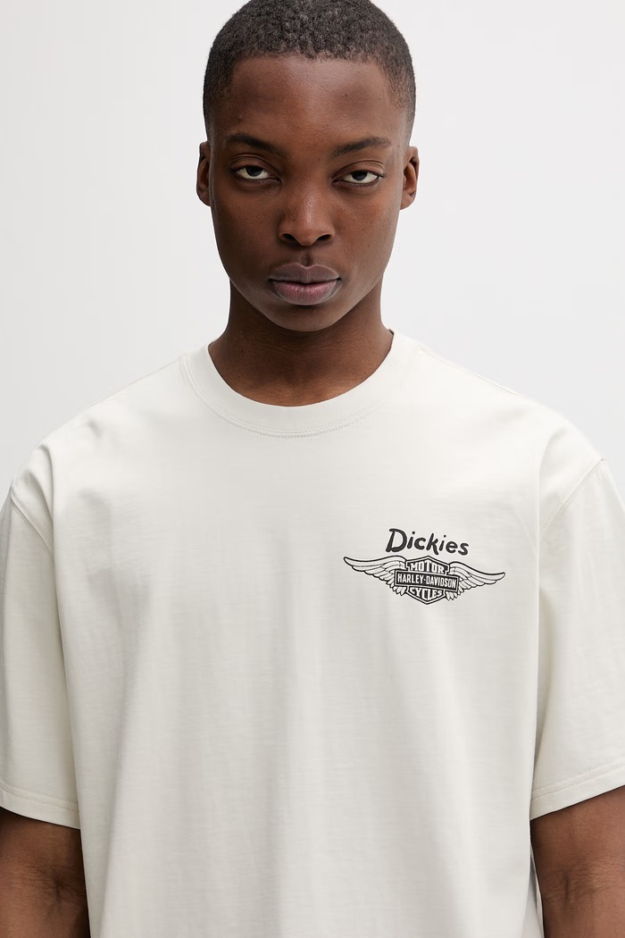 Dickies t-shirt ανδρικό βαμβακερό μπεζ DK0A88DJL631