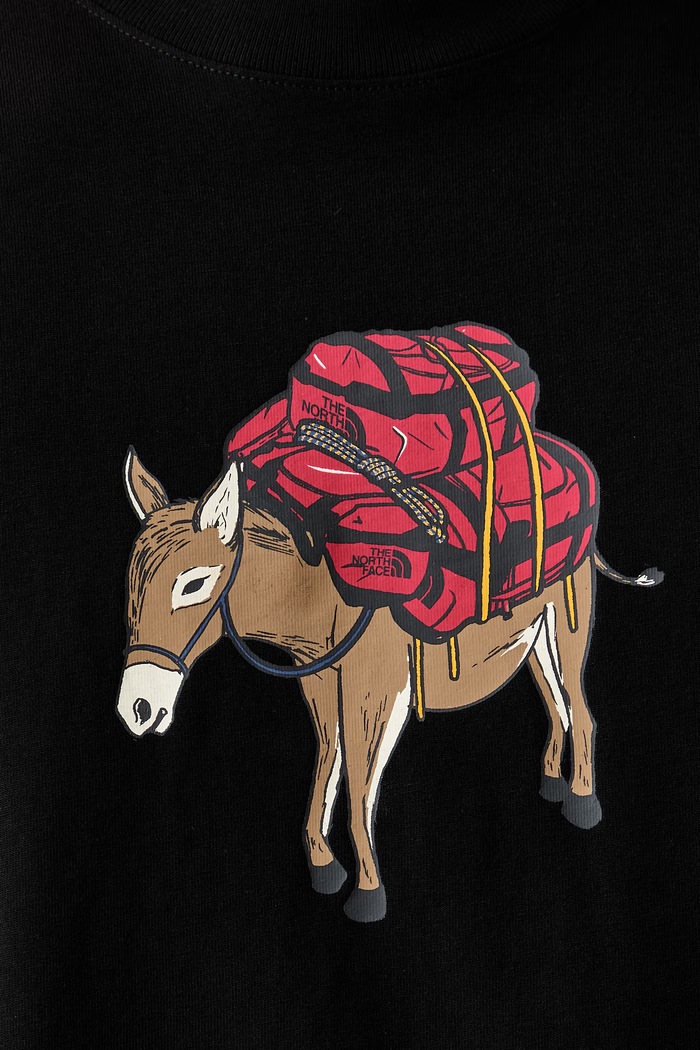 The North Face T-shirt męski bawełniany DONKEY TAXI NF0A8G9FJK31 czarny