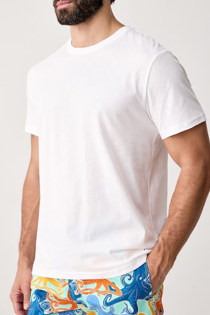 Ρούχα Vilebrequin T-shirt ανδρικό βαμβακερό TEWIS TWSFP300 λευκό