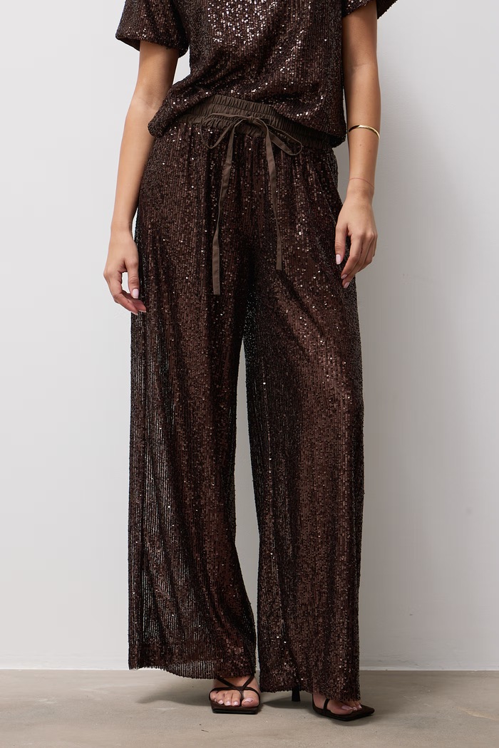 Spodnie damskie Answear.LAB AW26-004.itjr brązowy