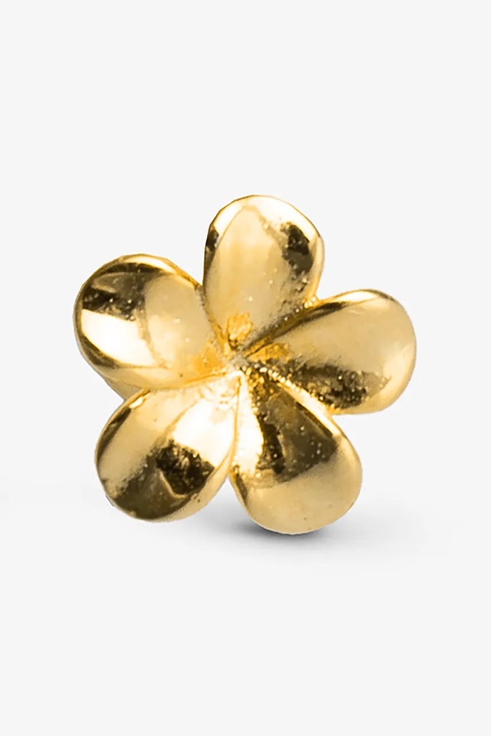 ANIA KRUK cercel pentru femei placat cu aur fără piatră ROCK IT SRUKS3500Z aur ZS26
