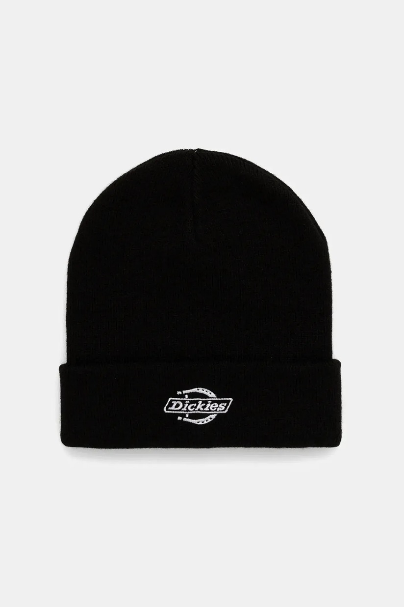 Dickies hardwick baseball cap in black