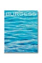 Assouline książka Burgess Yachts by Kevin Koening, English multicolor 9781649803863