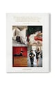 Аксесоари Книга Assouline Chic Dogs by Robert Williams, English 9781649804419 многоцветен
