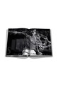 Kniha Assouline Federer by Doris Henkel, English 9781649802385 biela