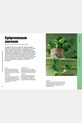 home & lifestyle książka Houseplant Handbook by Maddie and Alice Bailey, English turkusowy HG1271