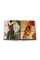 Kniha Assouline Wine & Travel Italy by Enrico Bernardo, English 9781649804181