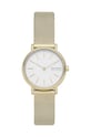 Skagen - Ceas SKW2693 aur SKW2693