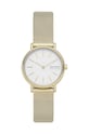 Skagen - Ceas SKW2693 aur SKW2693