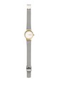 Аксессуары Skagen - Часы SKW2666 SKW2666 серебрянный
