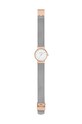 Skagen - Hodinky SKW7203 SKW7203 stříbrná