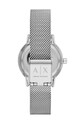 Accesorii Armani Exchange Ceas AX5565 argintiu