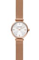 Hodinky Skagen zlatá SKW2955