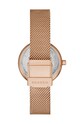 Doplňky Hodinky Skagen SKW2955 zlatá
