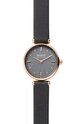 Skagen Ceas aur SKW2995