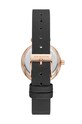 Accesorii Skagen Ceas SKW2995 aur