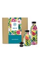 24bottles - Set sticle termo MiniMe Urban Box (2-pack) multicolor 1545