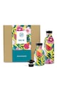 24bottles - Set sticle termo MiniMe Urban Box (2-pack) multicolor 1545
