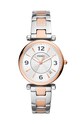 Fossil ceas multicolor ES5156