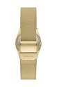 Akcesoria Skagen zegarek SKW1152SET złoty