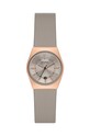 Часы Skagen SKW3052 золотой AA00
