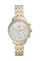 Fossil ceas argintiu ES5216
