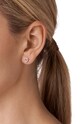Аксессуары Серебряные серьги Michael Kors MKC1519A2791 золотой