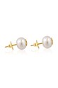 Tous kolczyki złote Pearls 1000115900 złoty AA00