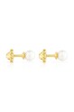Золоті сережки Tous Pearls 1003595900 золотий AA00