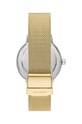 Accesorii Skagen ceas SKW3092 aur