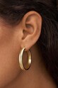 Сережки Fossil золотой JF04538710