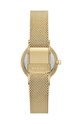 Аксессуары Часы Skagen SKW3110 золотой