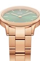 Akcesoria Daniel Wellington zegarek Iconic Link Emerald DW00100421 złoty