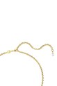 Dodaci Ogrlica Swarovski IDYLLIA 5684168 šarena