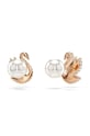 Swarovski kolczyki SWAN czarny 5684608