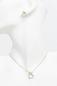 Колье и серьги Trussardi серебрянный TJAXC51