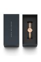 Hodinky Daniel Wellington DW00100720 zlatá