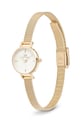 Daniel Wellington ceas DW00100745 aur AA00