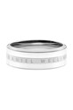 Daniel Wellington inel DW00400051 argintiu AA00