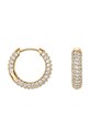 Daniel Wellington cercei DW00400642 aur AA00