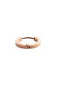 Daniel Wellington orecchino oro DW00400862