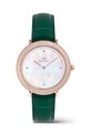 Ura Daniel Wellington zelena DW00100826
